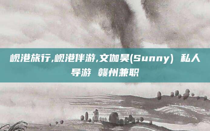 南平岘港旅行,岘港伴游,文伽昊(Sunny) 私人导游 赣州兼职