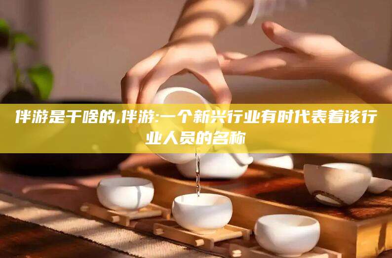南平伴游是干啥的,伴游:一个新兴行业有时代表着该行业人员的名称