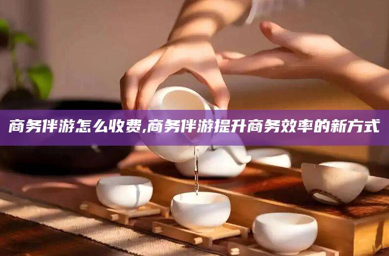 南平商务伴游怎么收费,商务伴游提升商务效率的新方式