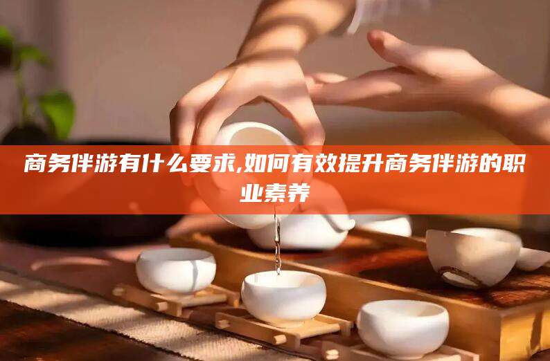 南平商务伴游有什么要求,如何有效提升商务伴游的职业素养